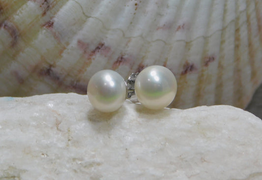 8mm fresh water pearl stud earrings set