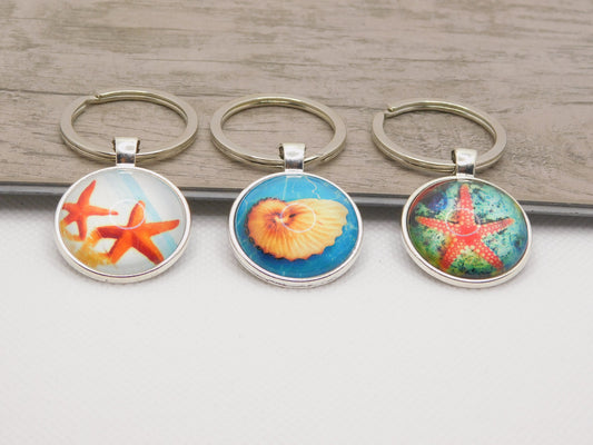 Sea shell keyrings