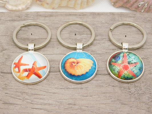 Sea shell keyrings