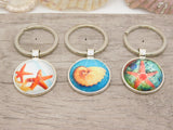 Sea shell keyrings