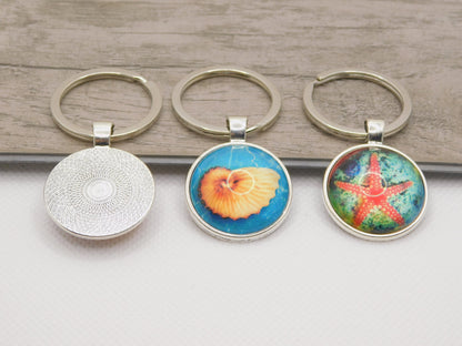 Sea shell keyrings